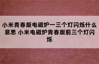 小米青春版电磁炉一三个灯闪烁什么意思 小米电磁炉青春版前三个灯闪烁